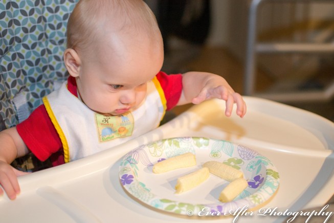 Tristan's First Foods-1