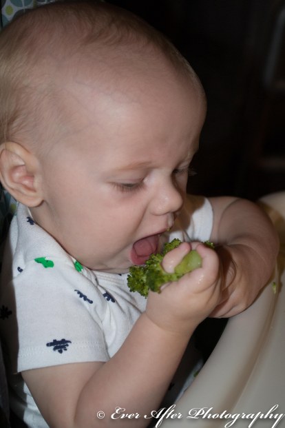 Tristan's First Foods-10