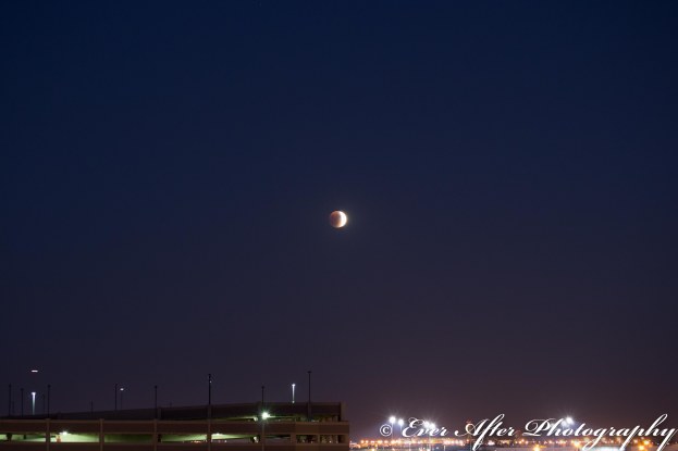 Tristan's First Foods-11