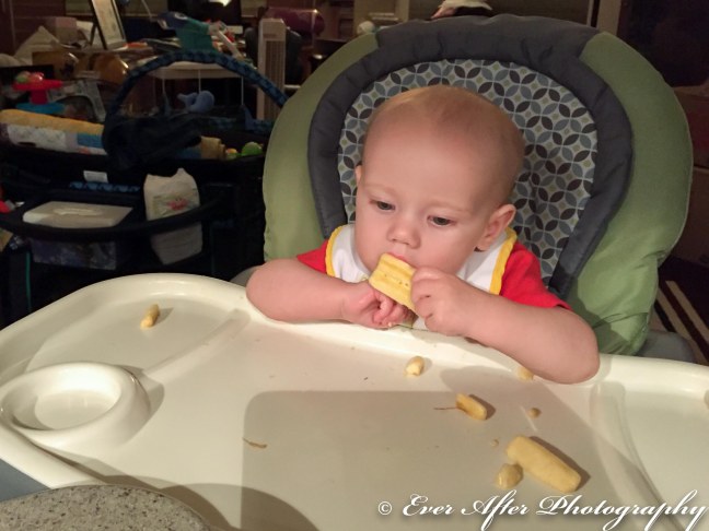 Tristan's First Foods-2