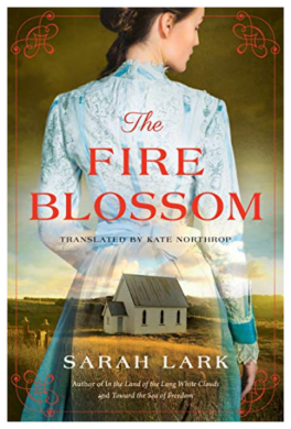 Screen Shot 2019-07-24 at 10.34.45 AM